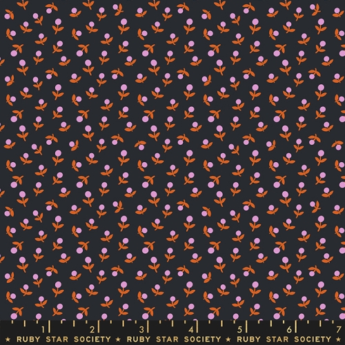Baumwolle Patchwork -  Alexia Abegg - Ruby Star Society - Meadow Star - Soft Black Sprout